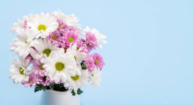 Colorful daisy flowers bouquet. On blue background with copy space