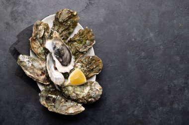 Limonlu taze istiridye. Kopyalama alanı olan düz