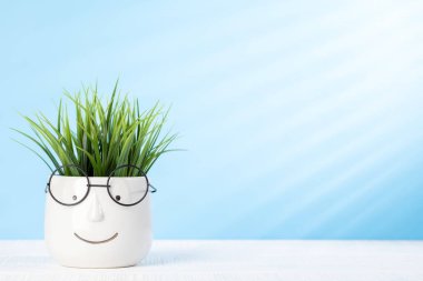 Plant in pot with glasses. Work and education concept. With copy space