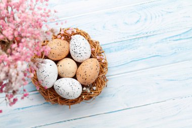 Yuvasında paskalya yumurtası olan Paskalya tebrik kartı. Üst görünüm düzlüğü kopyalama alanı ile yatıyordu