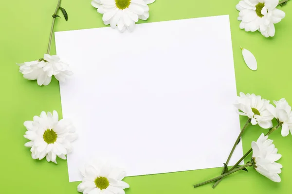 White Daisy Flowers Flat Lay Green Background Blank Greeting Card — Stock Photo, Image
