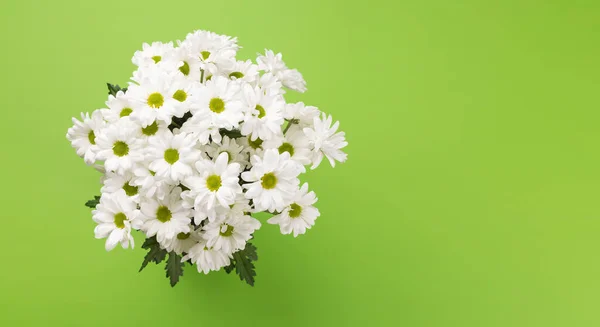 White Daisy Flowers Bouquet Flat Lay Green Background Copy Space — Stock Photo, Image