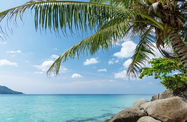 热带海滩 棕榈树和绿松石海 — 图库照片