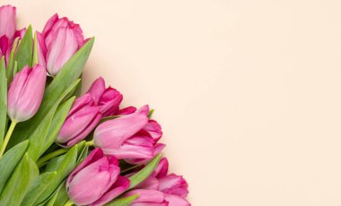 Pink tulip flowers bouquet on beige background. Flat lay with copy space