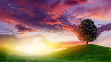 Sunset sky, beautiful hills and lonely tree in Swiss Alps