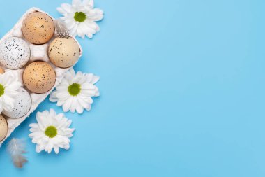 Easter eggs pack and flowers on a blue background with space for your greetings. Flat lay