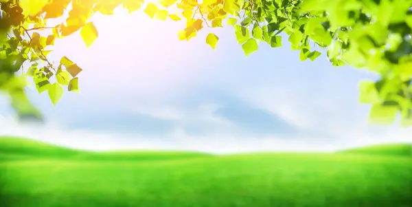 Grünes Gras Laub Und Blauer Himmel Mit Strahlender Sonne Sommer — Stockfoto