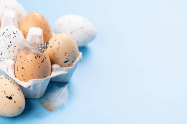 Eggs pack on a blue background. Easter eggs with space for your text