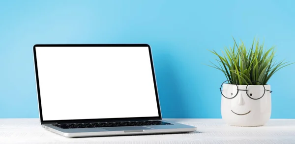 Laptop with blank screen for your message, app or web and potted plant. Computer with white display