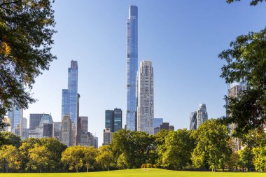 Manhattan gökdelenleri ve Central Park çayırları