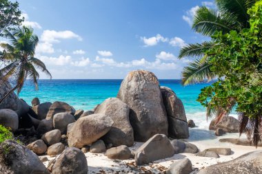 Palmiye ağaçları ve turkuaz deniz ile tropikal plaj