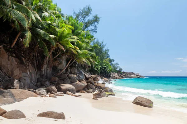 Tropisch Strand Met Palmbomen Turquoise Zee — Stockfoto