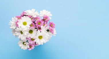 Colorful daisy flowers bouquet. Flat lay on blue background with copy space