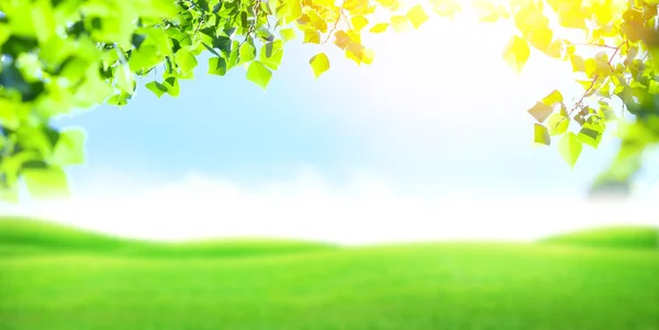 Groen Grasveld Gebladerte Blauwe Lucht Met Felle Zon Zomer Landschap — Stockfoto