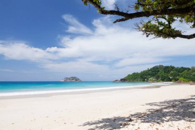 Palmiye ağaçları ve turkuaz deniz ile tropikal plaj