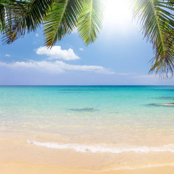 Zonnig Vakantielandschap Van Tropische Zee Palmen Lucht Met Wolken — Stockfoto