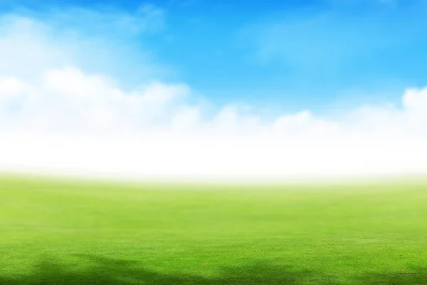 Пышный Зеленый Летний Пейзаж Полем Небом Облаками — стоковое фото