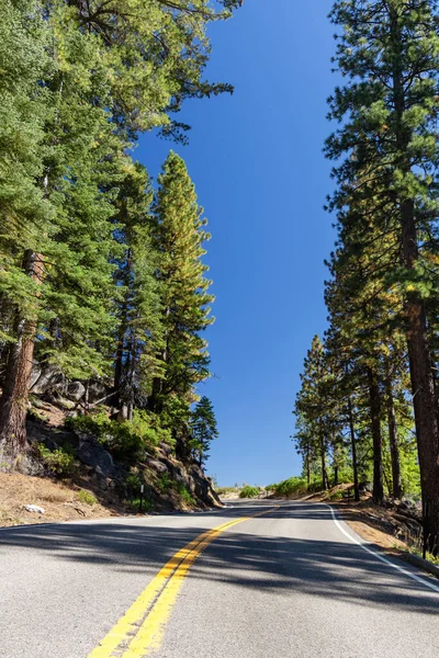 Estrada Curva Asfalto Através Floresta Parque Nacional Yosemite Califórnia — Fotografia de Stock
