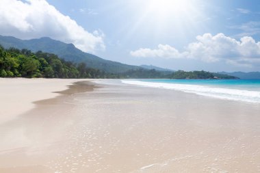 Palmiye ağaçları ve turkuaz deniz ile tropikal plaj