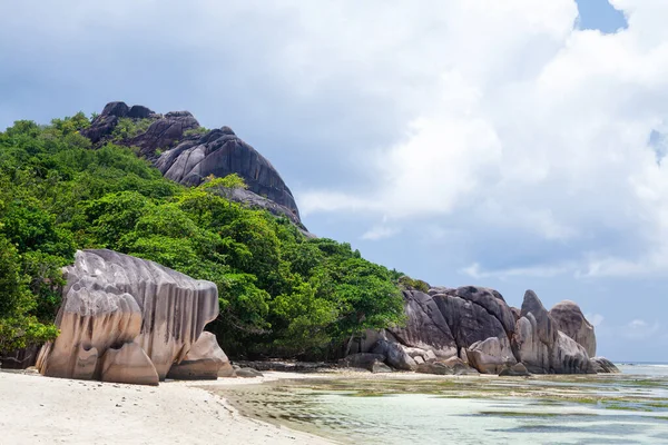 Тропический Пляж Пальмами Камнями — стоковое фото