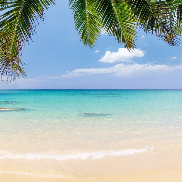 Sonnige Urlaubslandschaft Mit Tropischem Meer Palmen Und Wolkenverhangenem Himmel — Stockfoto