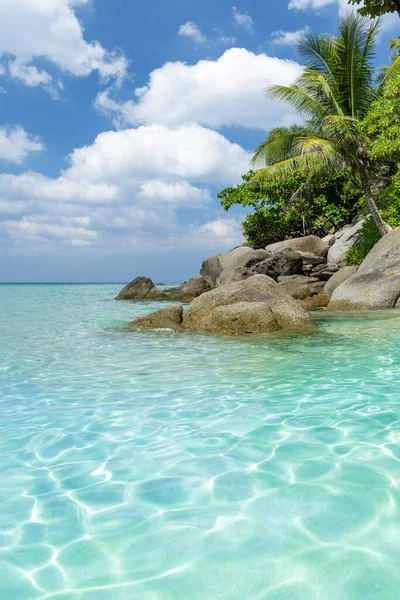 Zonnig Vakantielandschap Van Tropische Zee Palmen Stenen — Stockfoto