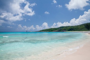 Palmiye ağaçları ve turkuaz deniz ile tropikal plaj