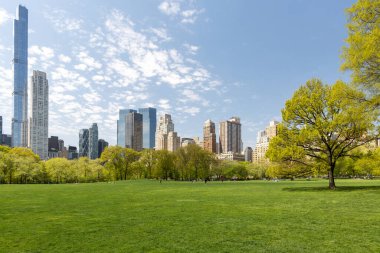 Manhattan gökdelenleri ve Central Park çayırları