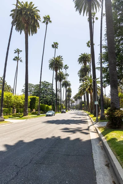 カリフォルニア州ロサンゼルス背の高い壮大なヤシの木が並ぶビバリーヒルズドライブ — ストック写真