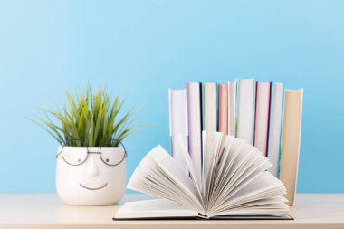 Kitaplar masanın üstünde, açık ve saksıda bir kitap var.