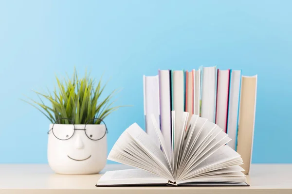 stock image Books on a table, with one book open and potted plant