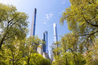 Central Park, New York 'taki Manhattan gökdelenleri