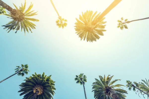 Perfektní Letní Den Kalifornii Beverly Hills Odpočívá Stínu Vysokých Dlaní — Stock fotografie