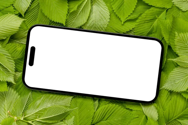 Smartphone Prázdnou Obrazovkou Stole Obklopený Zelenými Listy Přírody Perfektní Design — Stock fotografie