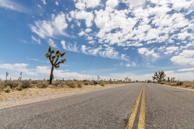 Joshua Tree Ulusal Parkı 'nın nefes kesici bir fotoğrafı Mojave Çölü' nün eşsiz manzarasını ve güzelliğini gözler önüne seriyor.