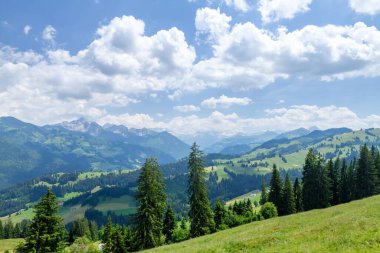 Yeşil alp çayırlarının ve İsviçre 'deki Alp dağlarının panoramik manzarası