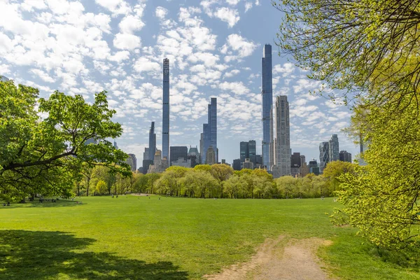 Manhattan Skyscrapers Central Park Meadow — Stock Photo, Image
