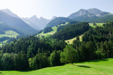 Yeşil alp çayırlarının ve İsviçre 'deki Alp dağlarının panoramik manzarası