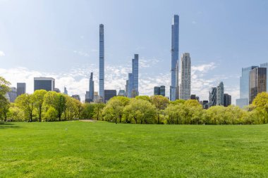Manhattan gökdelenleri ve Central Park çayırları