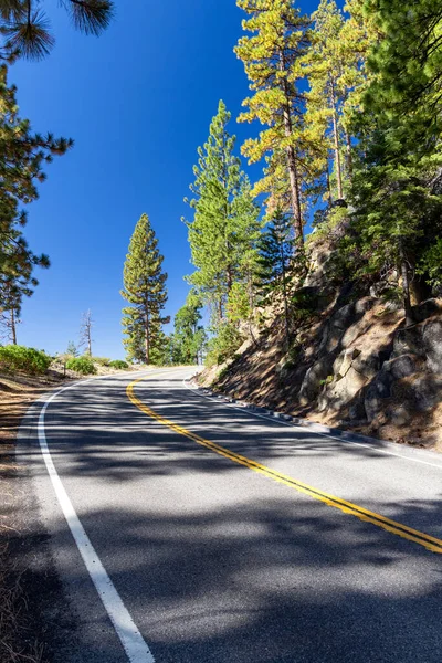 アスファルトの森林を介してカーブ道路 カリフォルニア州ヨセミテ国立公園 — ストック写真