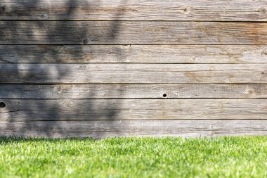 Yaprakların gölgesiyle aydınlık ahşap dokular büyüleyici bir zemin oluşturuyor.