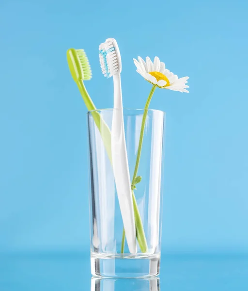 以牙膏和牙刷为特色的清洁清新的形象 促进口腔卫生和灿烂的笑容 — 图库照片