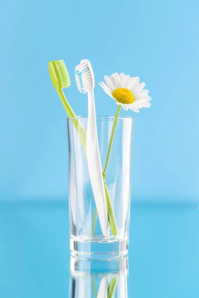 Ein Sauberes Und Erfrischendes Bild Mit Zahnbürsten Förderung Der Mundhygiene — Stockfoto