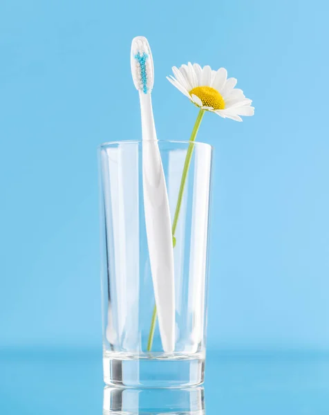 一个干净清新的形象 牙刷在玻璃杯中 促进口腔卫生和灿烂的微笑 — 图库照片