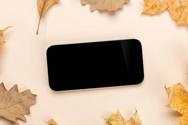 가을의 나뭇잎으로 둘러싸인 스크린 스마트폰 디자인 — 스톡 사진