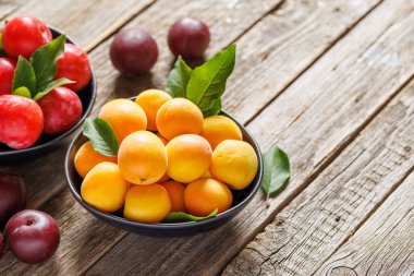 Renkli eriklerden oluşan canlı bir çeşitlilik, doğal güzelliklerini ve lezzetlerini sergiliyor. Kopyalama alanı ile