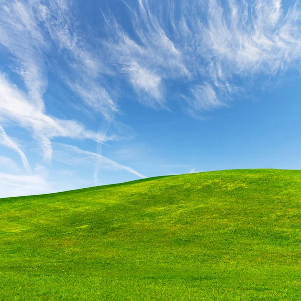 青空の下に広がる緑豊かな草原と雲が広がる絵のような夏の風景 — ストック写真