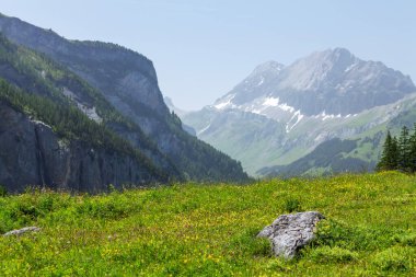 Yeşil çayırların ve İsviçre 'deki Alpler dağlarının panoramik manzarası.