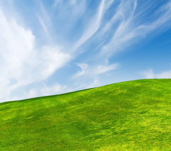 青空の下に広がる緑豊かな草原とふわふわの雲が広がる絵のような夏の風景 — ストック写真