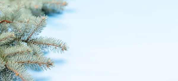 Kerst Dennenboom Tak Blauwe Achtergrond Met Ruimte Voor Begroetingen Tekst — Stockfoto
